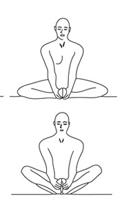 posture du papillon